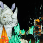 Light Safari 1 150x150