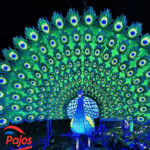 Light Safari 4 150x150